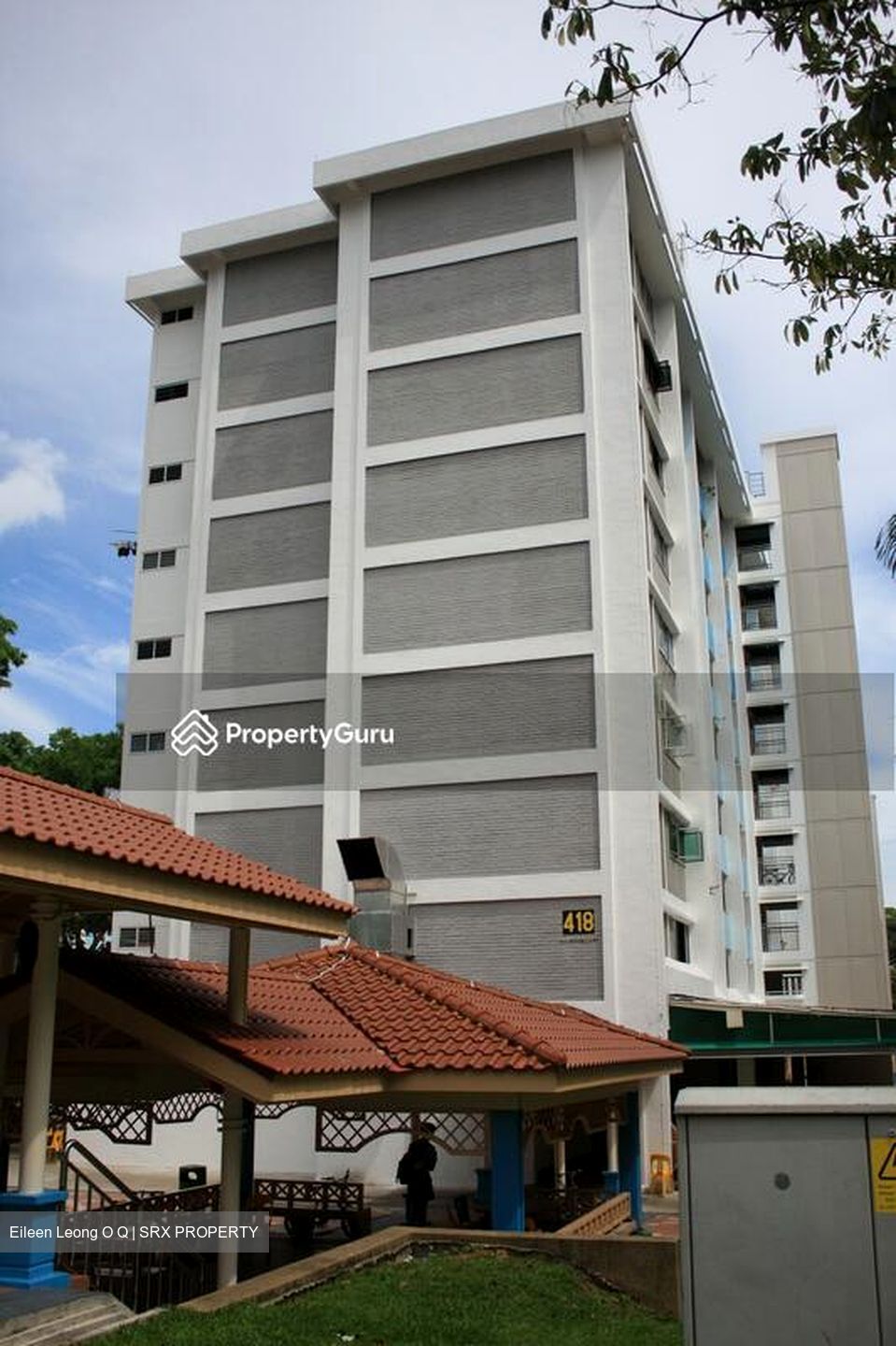 Garden Hill (D16), Shop House #501189111